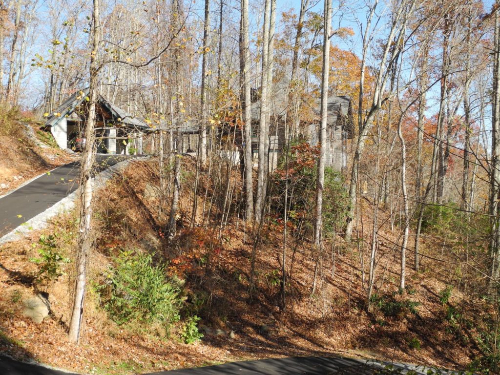 Exterior approach seen through the trees